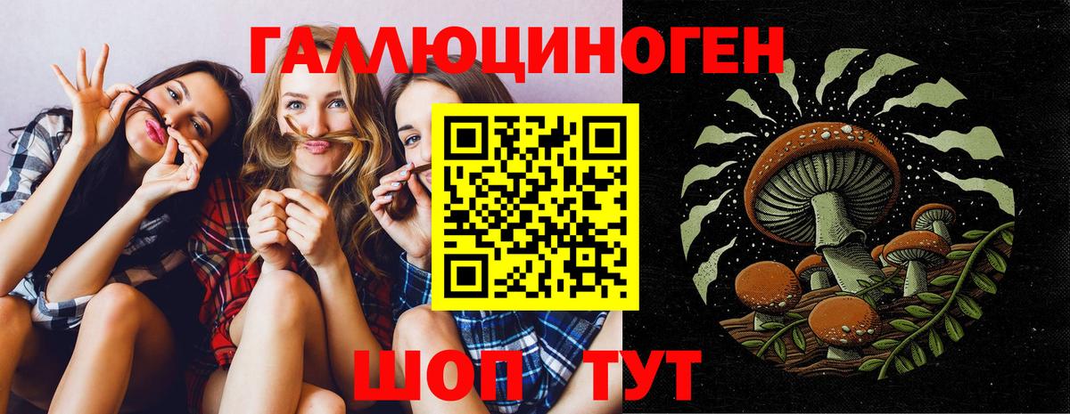 Радужный  Псилоцибиновые грибы Cubensis  Вход с VPN 
